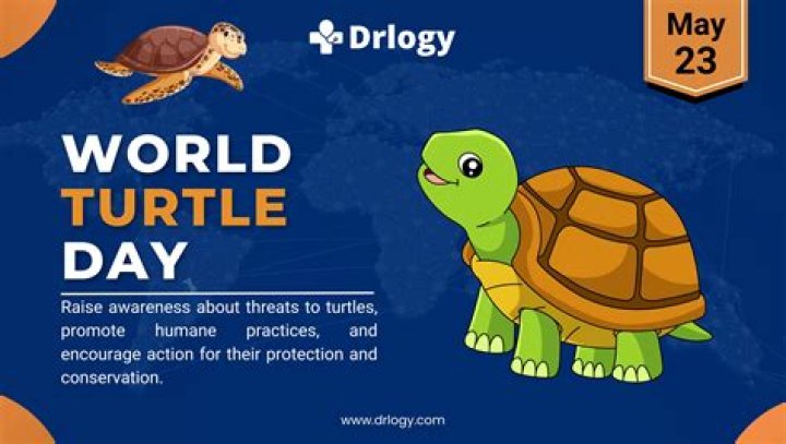 Discovering Karelyruizerome: What You Need to Know Today