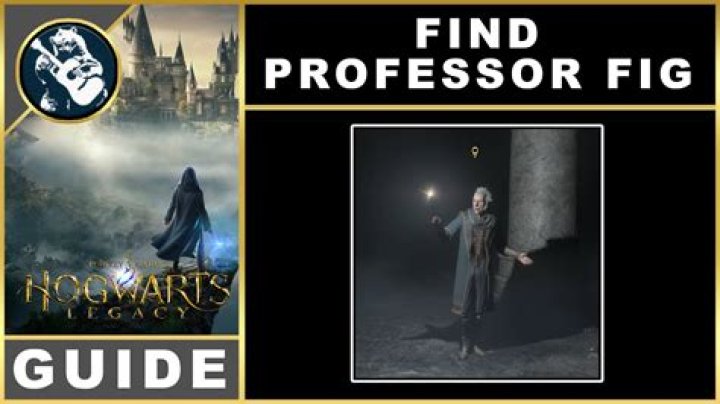 Finding Professor Cal Audio: Your Guide to Immersive Listening
