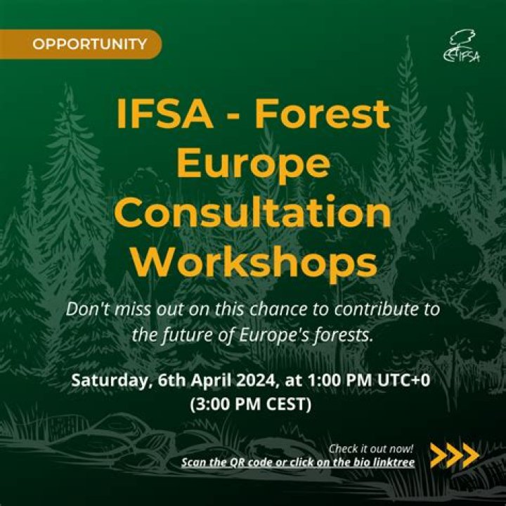 Unpacking Sotwe Ifsa: A Look at its Digital Presence and Cultural Threads