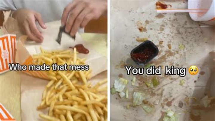 Who Made That Mess? You Did, King.